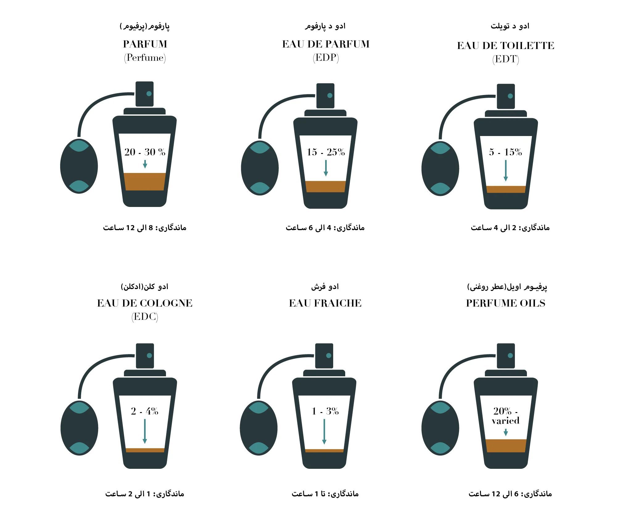 انواع عطر از نظر ماندگاری؛ راهنمای کامل انتخاب عطر مناسب