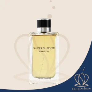 عطر ادکلن دیویدوف سیلور شادو مردانه | Davidoff Silver Shadow مناسب برای فصول سرد