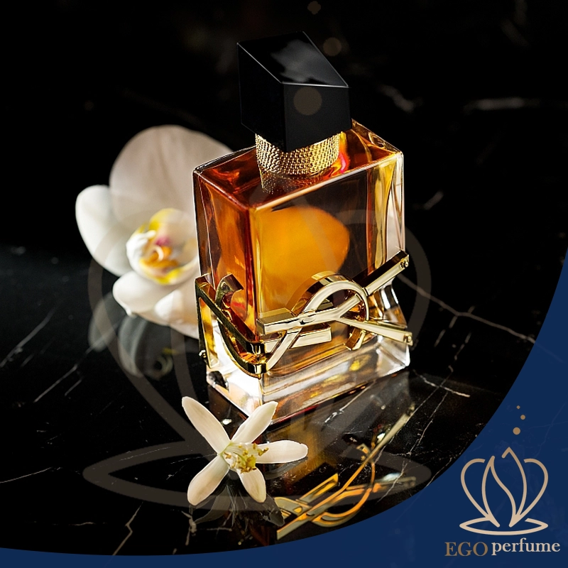 بهترین عطرهای ولنتاین ۱۴۰۳ برای خانم‌ها و آقایان | هدیه‌ای ماندگار از برندهای لوکس