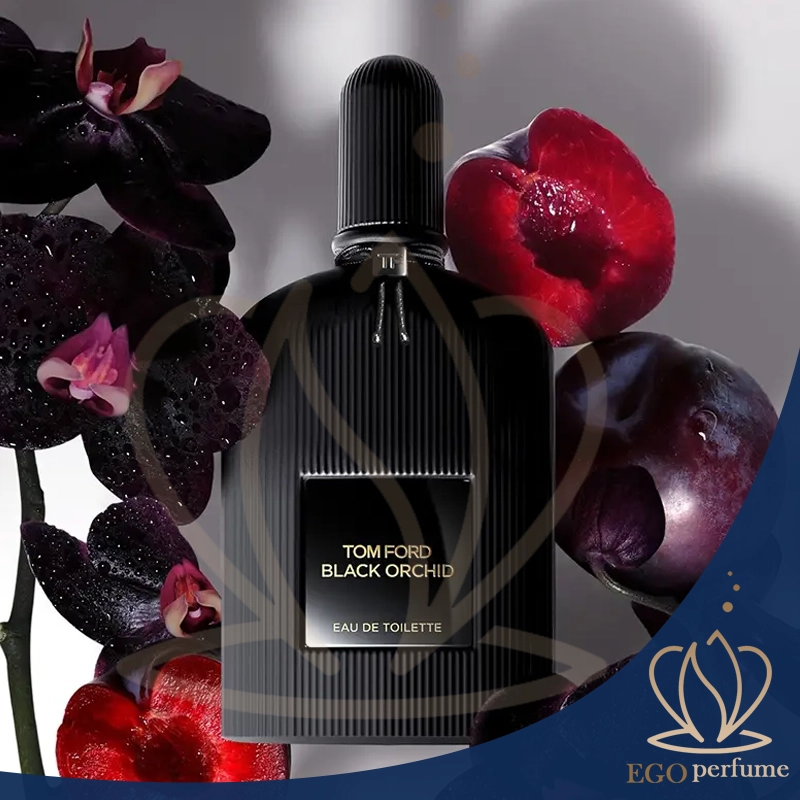 بهترین عطرهای ولنتاین ۱۴۰۳ برای خانم‌ها و آقایان | هدیه‌ای ماندگار از برندهای لوکس