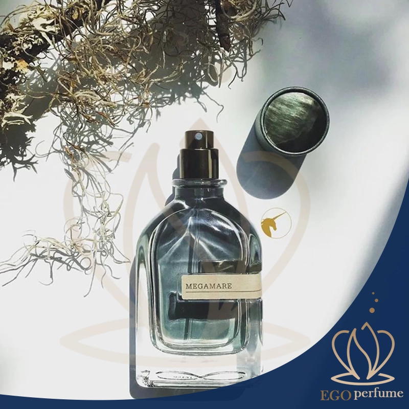  عطر و شخصیت: چگونه رایحه‌ها هویت ما را بازتاب می‌دهند؟ 