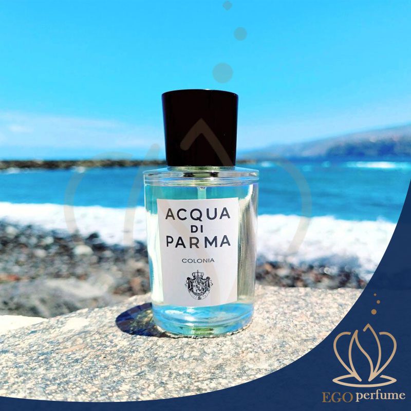 نت‌های مرکباتی در عطرها. عطرهای مرکباتی اقلب رایحه‌ای خنک و تابستانی دارند.