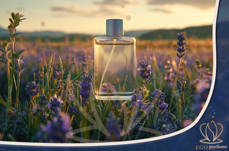 نت‌های آروماتیک در عطرها: از رازهای خوشبوایی تا هنر ترکیب