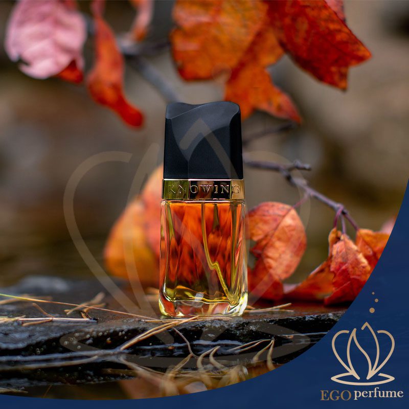 راهنمای جامع خرید عطر برای هر فصل: انتخاب رایحه مناسب با آب وهوا. عطری با حال و هوای پاییز.