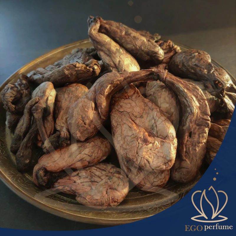 رایحه مشک و عنبر در عطرسازی: تاریخچه، کاربرد و جذابیتهای بیپایان. اینها غدههای سگ های آبی هستند که در صنعت عطر سازی استفاده میشوند!