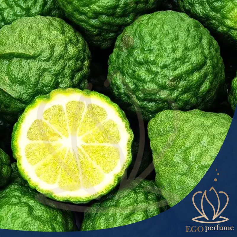 نت‌های مرکباتی در عطرها. برگاموت یک میوه مرکباتی و پر کاربرد در صنعت عطر سازی