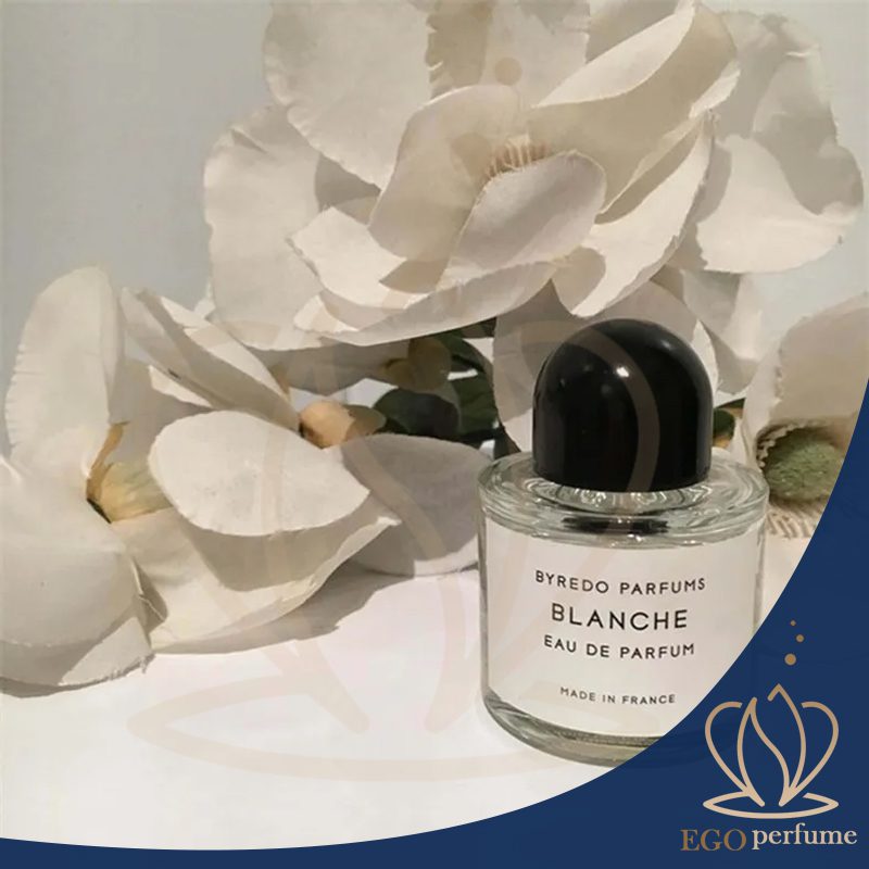 بهترین عطر برای قبرستون! عطری بسیار شیک و خاص 
