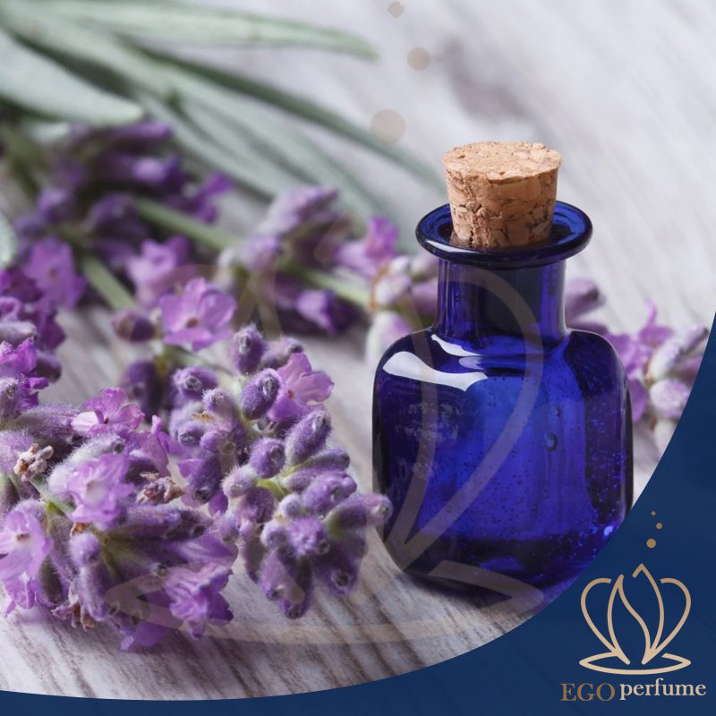 گروه بویایی مدیترانه‌ای: سفر به دنیای رایحه‌های جاودانه ساحل. عطرها اسانس های روغنی هستند!