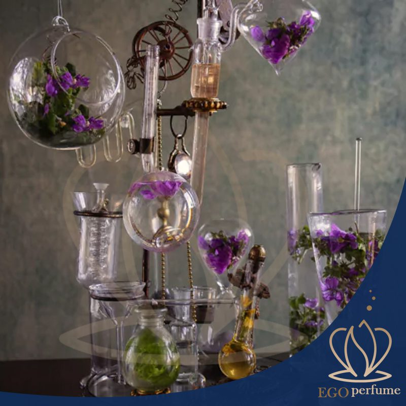 گروه بویایی مدیترانه‌ای: سفر به دنیای رایحه‌های جاودانه ساحل. هنر عطر سازی بسیار هنر خاصی است