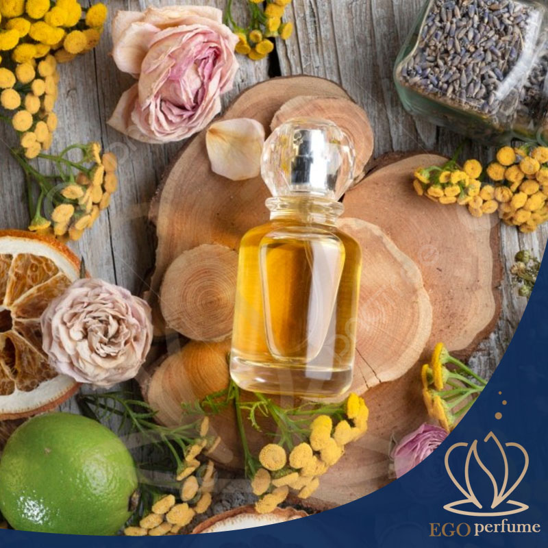 نت‌های گیاهان سبز عطر: راز طبیعت در دنیای رایحه‌ها. یک شیشه عطر با پس‌زمینه گیاهی 