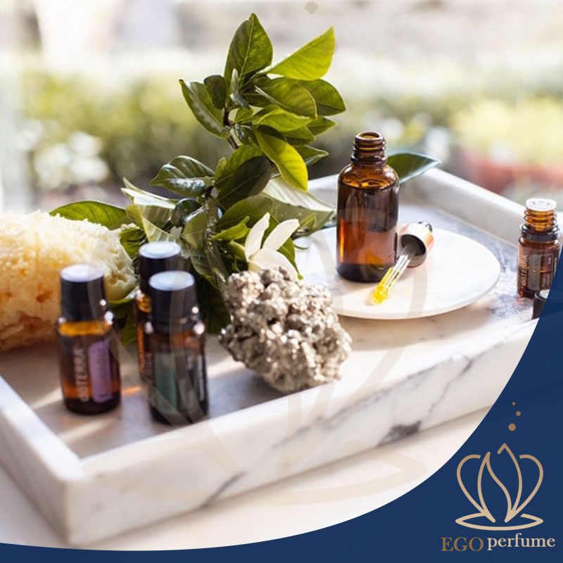نت‌های آروماتیک در عطرها: از رازهای خوشبوایی تا هنر ترکیب. عطرهای آروماتیک آدم رو آروم میکنن!