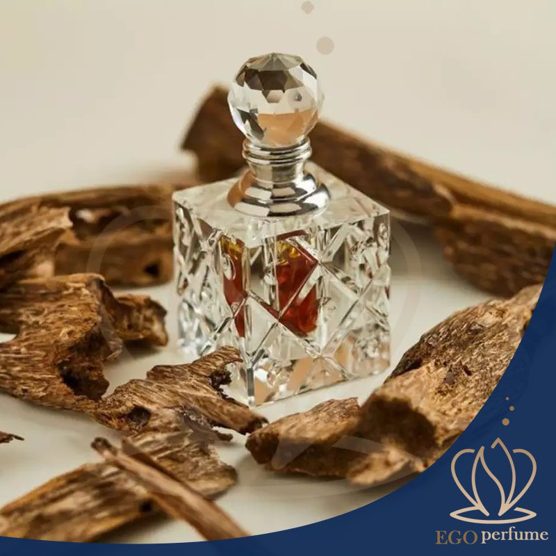 رازهای جذاب نت‌های چوبی در عطرها: از شناخت تا انتخاب رایحه‌های ماندگار. عطرهایی که با نت های چوبی درست شده اند.