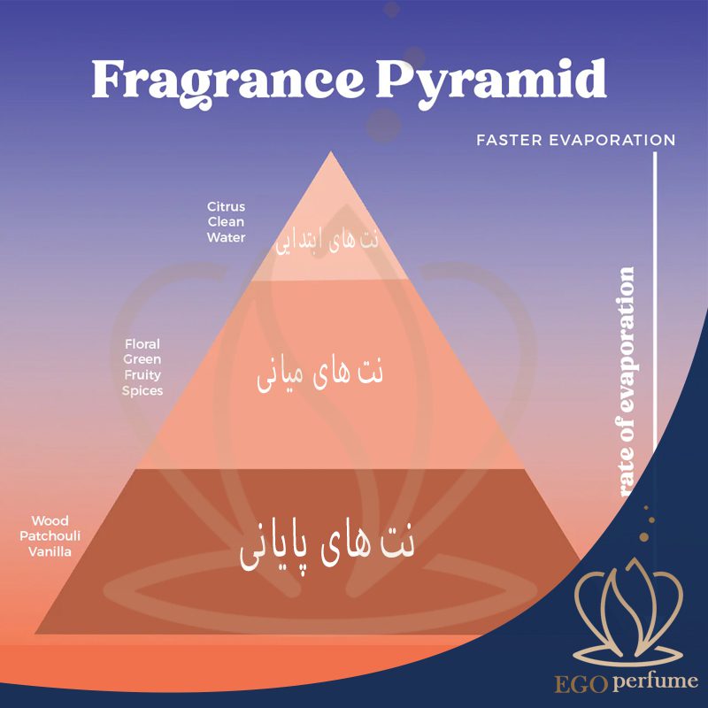 درک نت‌های بویایی در عطر و ادکلن: یک راهنمای جامع. عطر ها 3 بخش هستند!