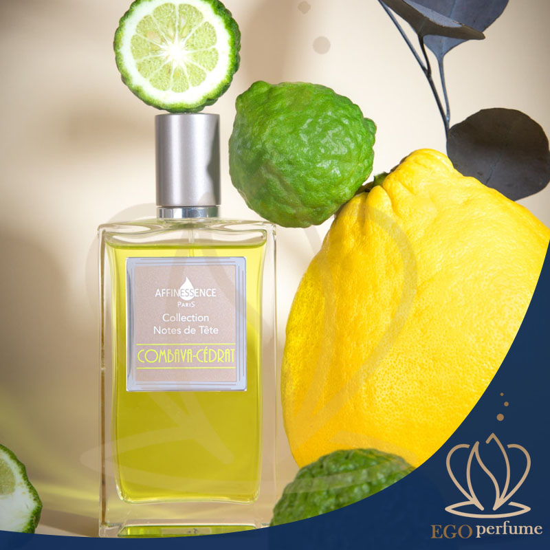 تفاوت‌های عطرهای گرم و سرد. عطری با طبعی خنک و باطراوت