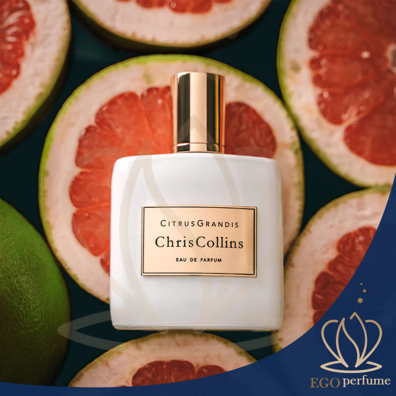 تفاوت‌های عطرهای گرم و سرد. عطری با طراوت