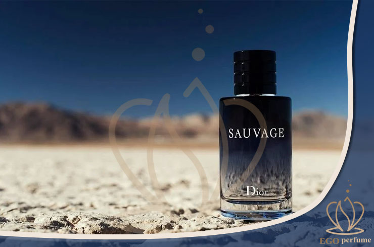 بهترین عطر و ادکلن‌های خنک و تابستانه مردانه ۱۴۰۴