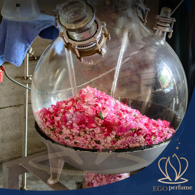 دلیل رنگ متفاوت عطرها. دستگاه گلاب گیری
