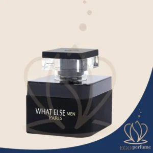 عطر ادکلن وات الس من ای پی دوراند پارفومز مردانه | A.P. Durand Parfums What Else Men 011