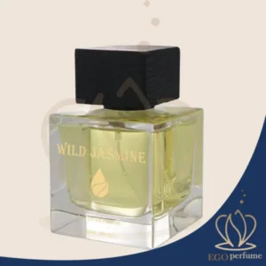 عطر ادکلن وایلد جاسمین ای ای پی پرفیومز زنانه | AAP PERFUMES WILD JASMINE 011