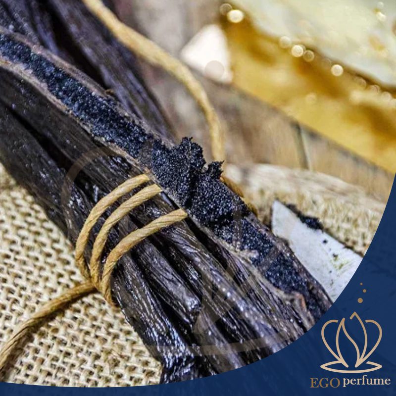 بهترین عطرهای آرامش‌بخش برای شرایط جنگی: رایحه‌ها در میانه طوفان. .وانیل