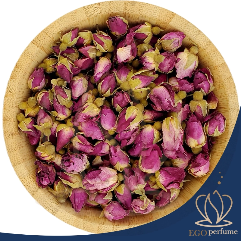 گل محمدی بهترین عطرها برای افراد مذهبی