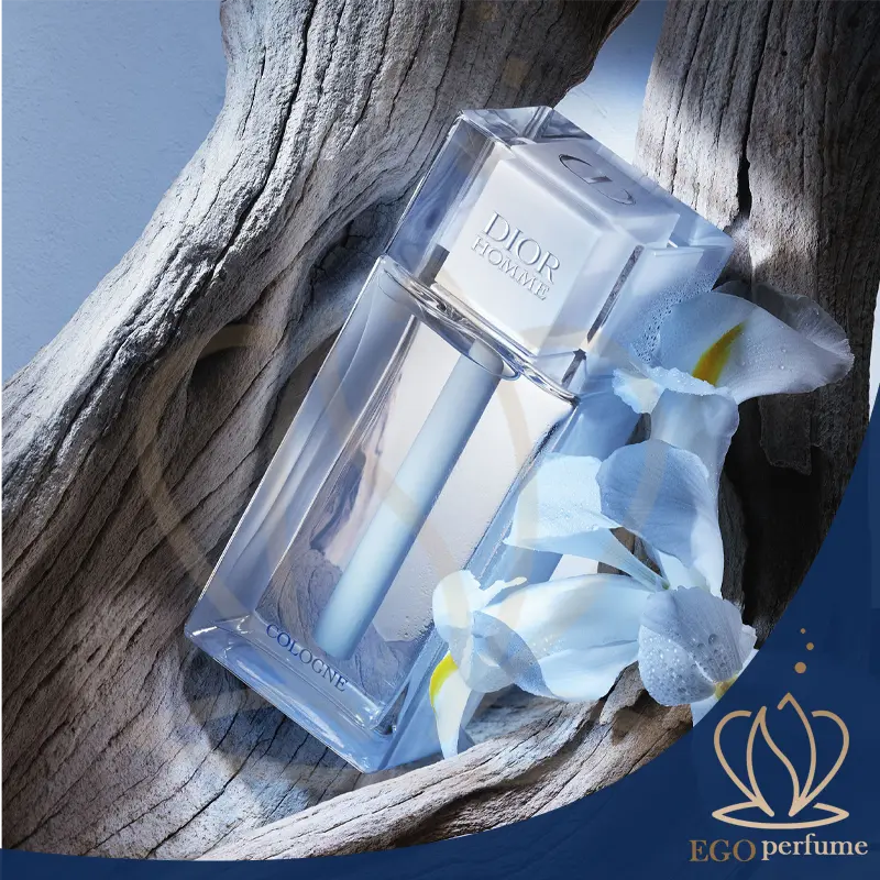 dior homme cologne بهترین عطرهای مرکباتی: رایحه‌های تابستانی و انرژی‌بخش برای هر سلیقه