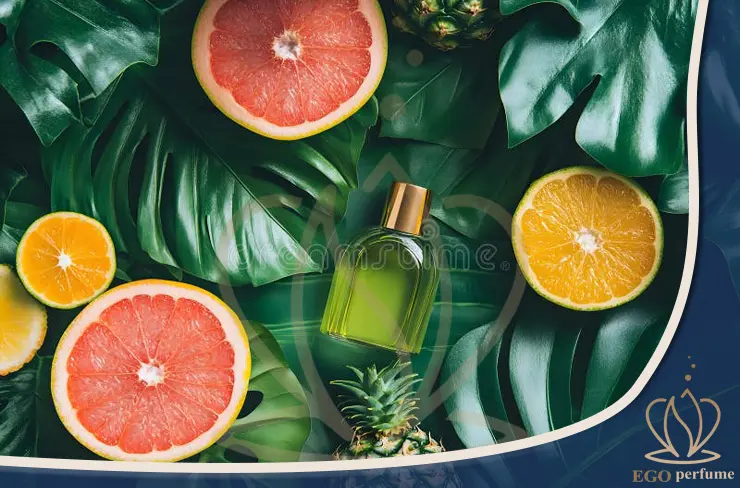 بهترین عطرهای مرکباتی: رایحه‌های تابستانی و انرژی‌بخش برای هر سلیقه