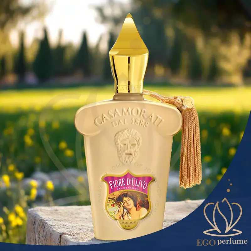 بهترین عطر و ادکلن‌های کازاموراتی برند زرجوف-زرجف- (xerjoff) 5