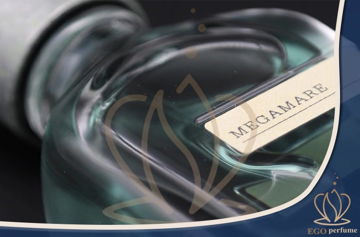 عطر مگاماره برای چه فصلی مناسب است؟ راهنمای کاربرد در آب‌وهوای مختلف