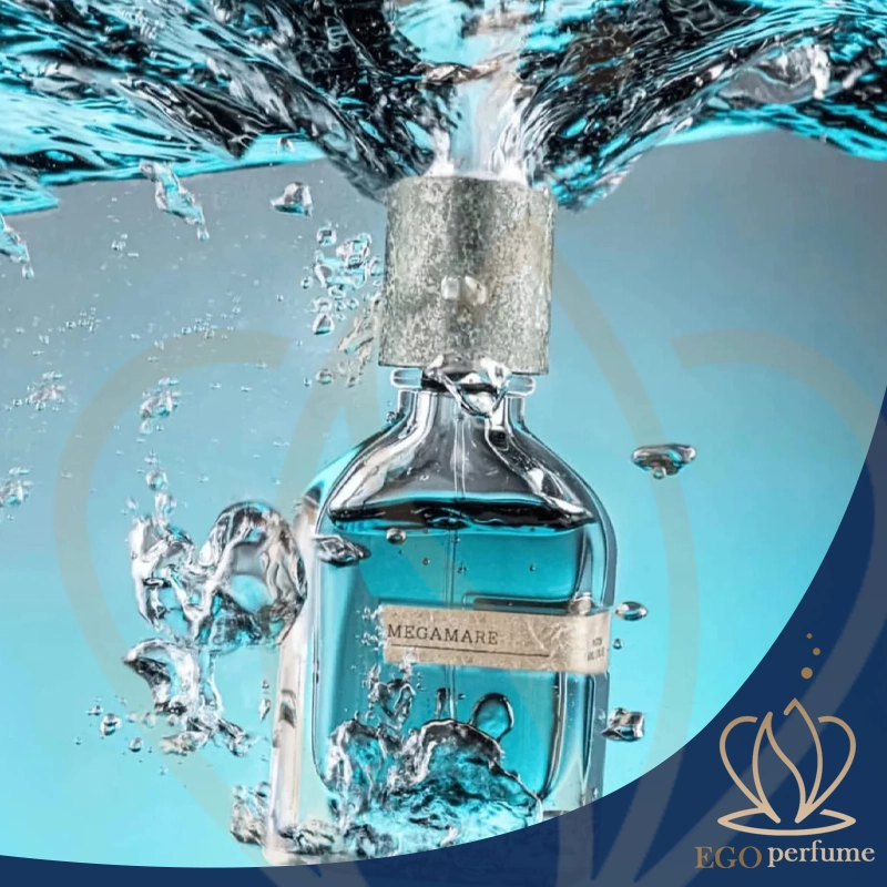 عطر مگاماره برای چه فصلی مناسب است؟ راهنمای کاربرد در آب‌وهوای مختلف 05