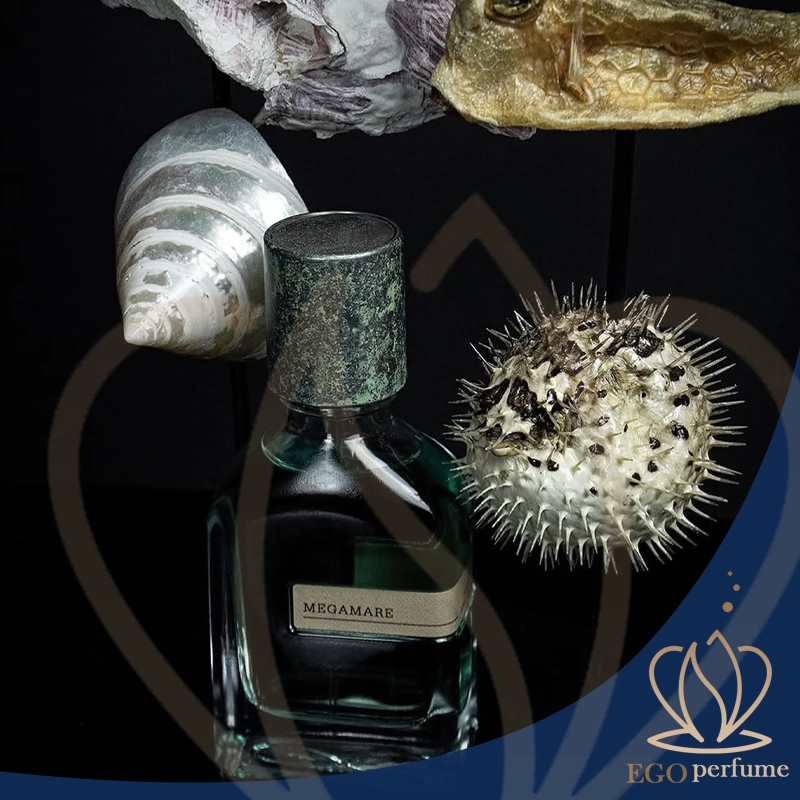 عطر مگاماره برای چه فصلی مناسب است؟ راهنمای کاربرد در آب‌وهوای مختلف 06