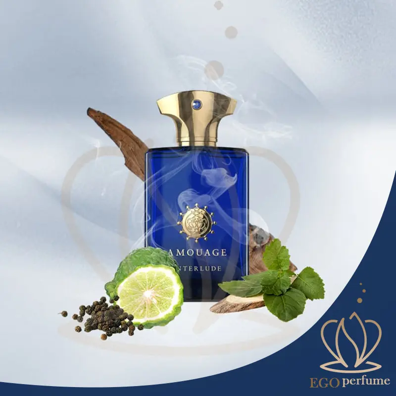 عکس مقاله کدام بهتر است: عطر اینترلود آمواج یا بلو شنل؟ اینترلود 022