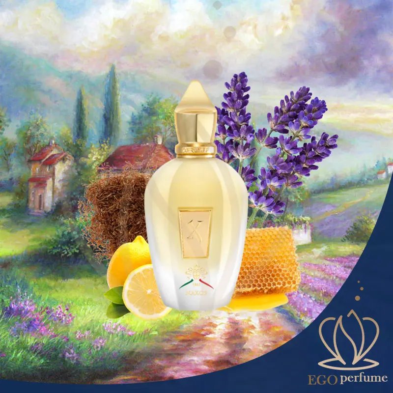 مقایسه عطر ناکسوس زرجف با توباکو وانیل تام فورد؛ شباهت‌ها و تفاوت‌ها n 03