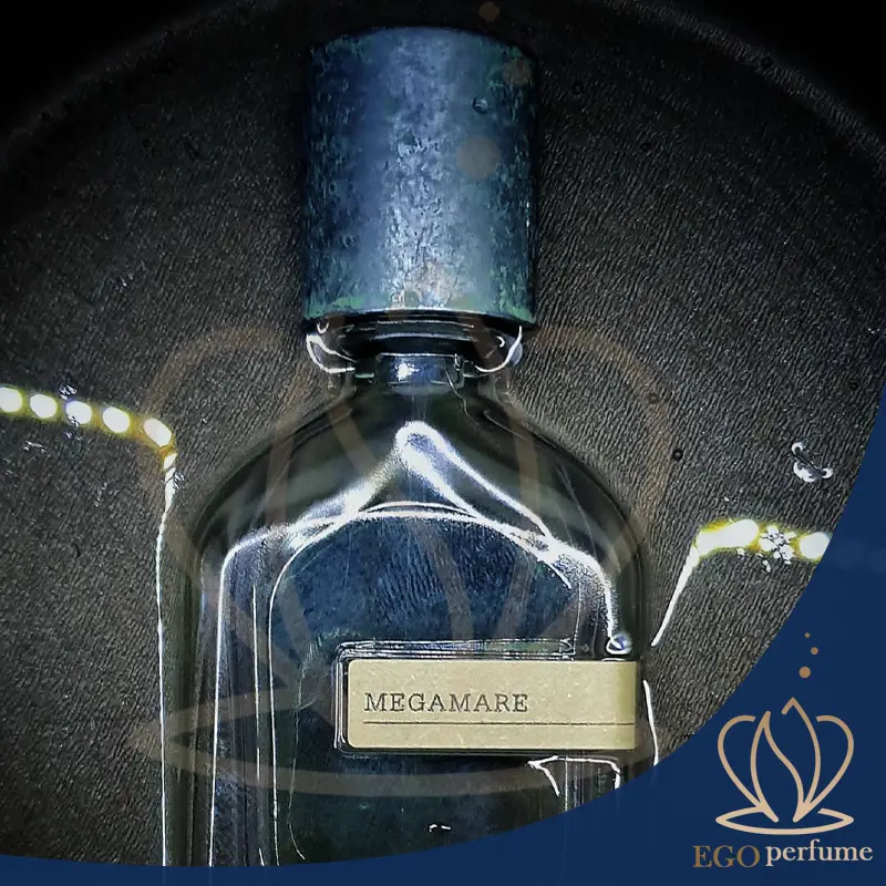 عکس مقاله تفاوت عطر و ادکلن مگاماره در چیست؟ کدام بهتر است؟ 00210