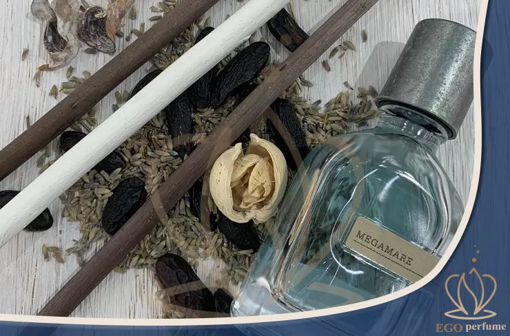 عکس شاخص مقاله بهترین موقعیت‌های استفاده از عطر مگاماره: روزانه، محل کار، مهمانی و ورزش