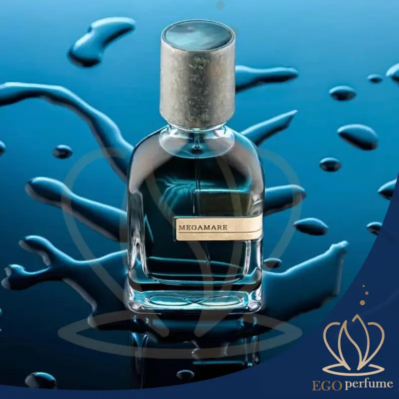 عکس مقاله عطر مگاماره برای چه فصلی مناسب است؟ راهنمای کاربرد در آب‌وهوای مختلف 0112