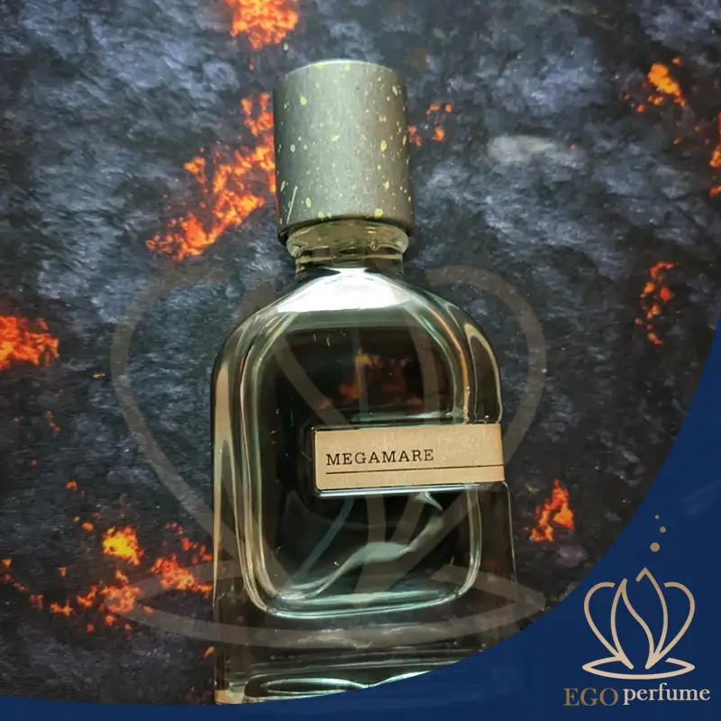عکس مقاله عطر مگاماره برای چه فصلی مناسب است؟ راهنمای کاربرد در آب‌وهوای مختلف 0140
