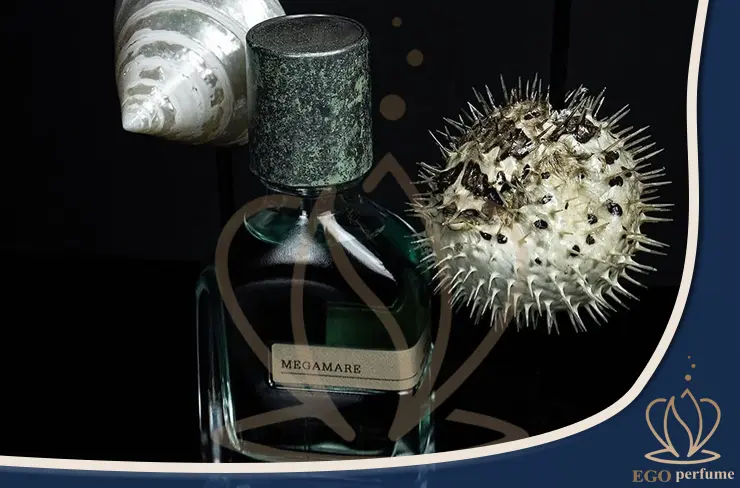 عکس شاخص مقاله تفاوت عطر و ادکلن مگاماره در چیست؟ کدام بهتر است؟