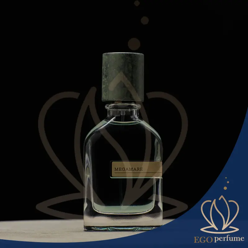 عکس جعبه راهنمایی و تشخیص عطر مگاماره اصل با فیک 052