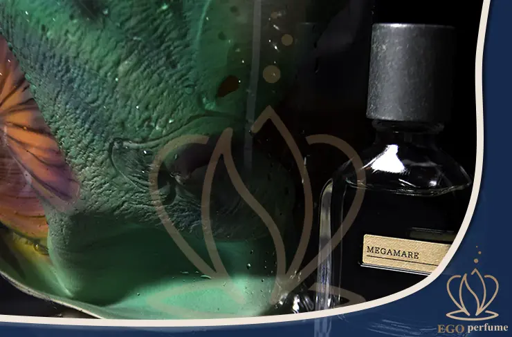 عکس شاخص مقاله ست کردن عطر مگاماره اورتو پاریسی با استایل: مینیمال، رسمی و اسپرت