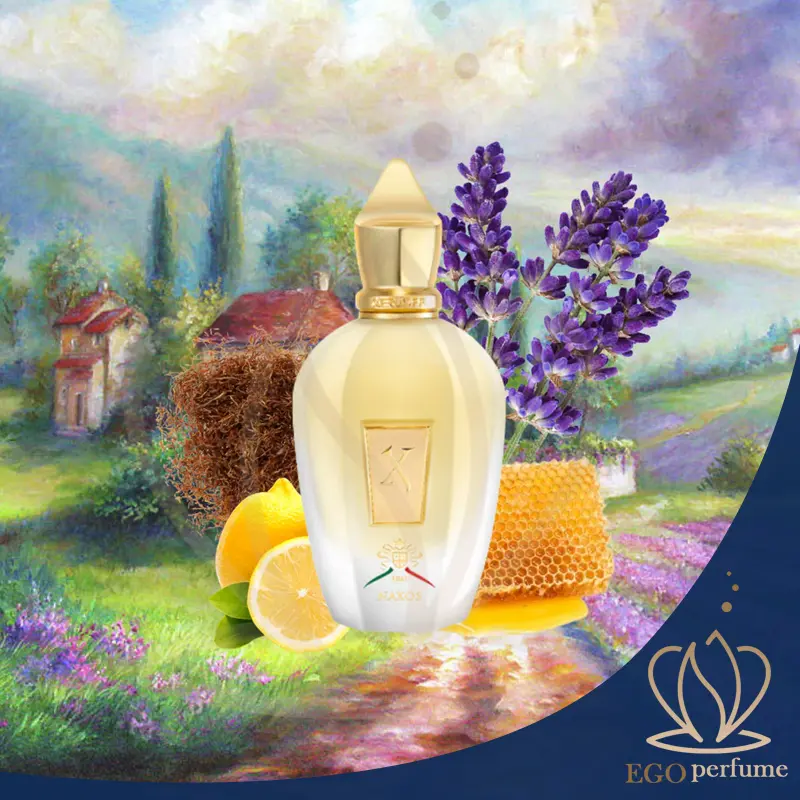 تجربه کاربران از عطر ناکسوس زرجف؛ آیا واقعاً ارزش خرید دارد؟ 011