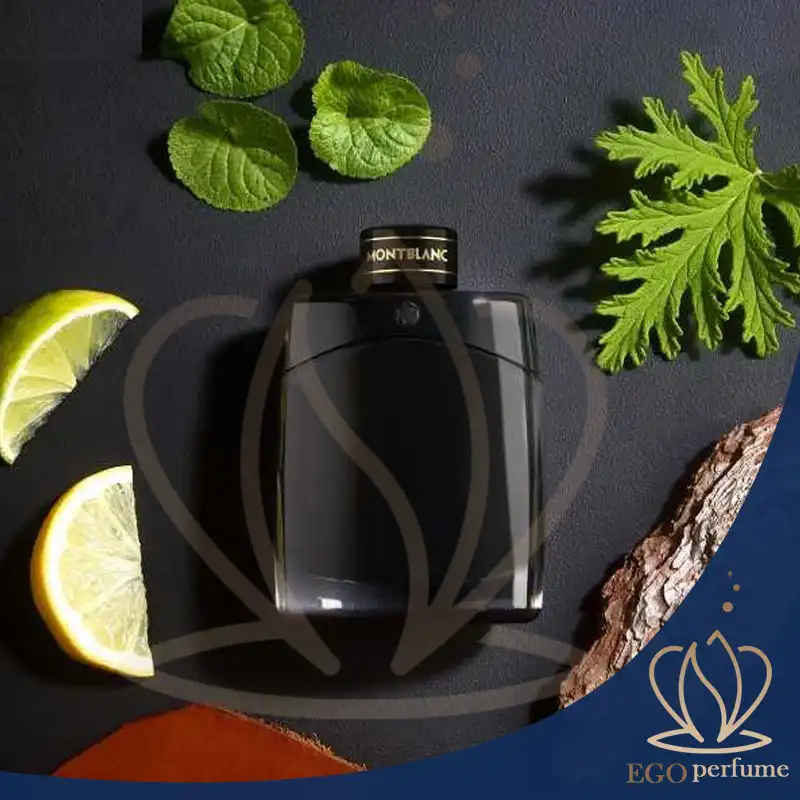 عطرهای قدیمی؛ سفر به دنیای نوستالژی با رایحه‌های کلاسیک 014