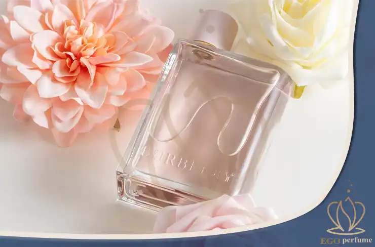 بهترین عطرهای زنانه و مردانه برای دانشگاه | راهنمای کامل انتخاب عطر دانشجویی