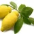 ترنج