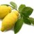 ترنج عطر ادکلن زارا ویبرانت لدر