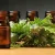 روغن سرو عطر ادکلن ممو پاریس ایندین لدر