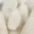 مشک سفید copy